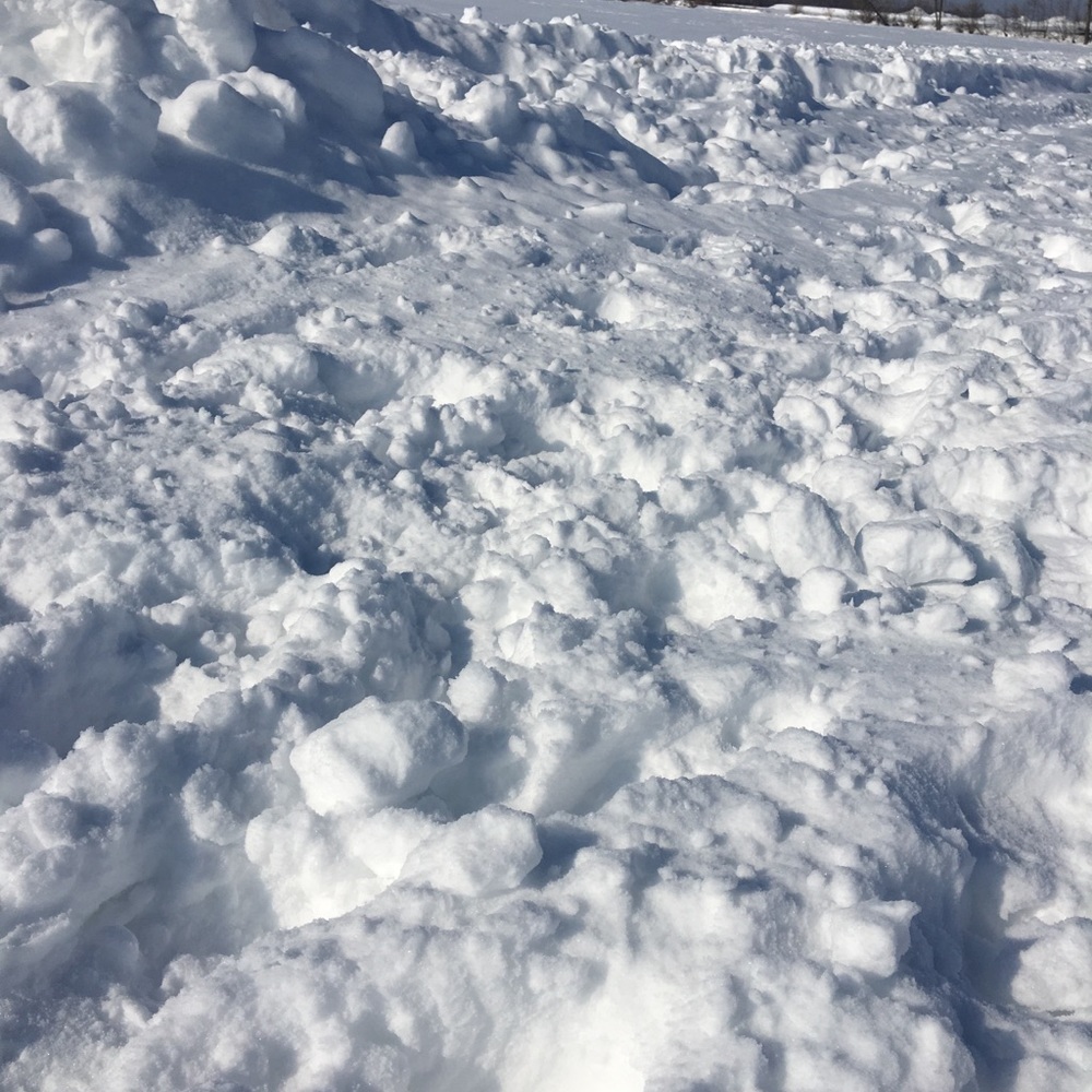 Meet your Posher, Hortensia